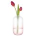 Dartington Wellness Replenish Pink Vase 17cm image