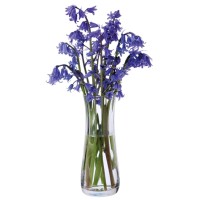 Dartington Florabundance Clear Bluebell Glass Vase