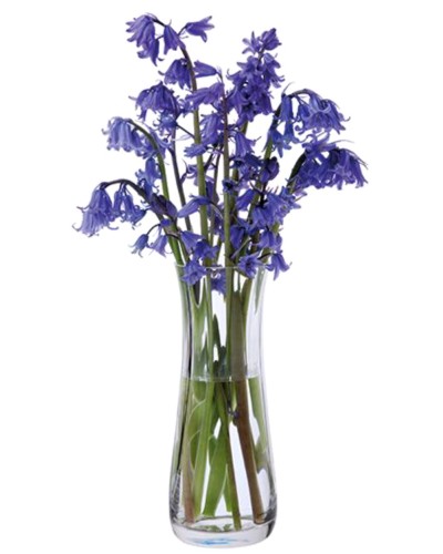 Dartington Florabundance Clear Bluebell Glass Vase image