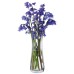 Dartington Florabundance Clear Bluebell Glass Vase image