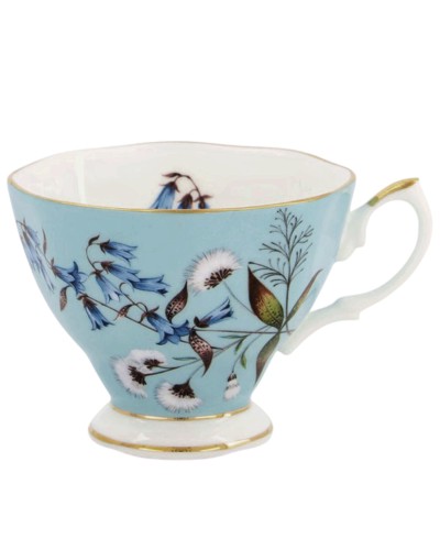 Royal Albert 100 Years of Royal Albert 1950 Festival Cup image