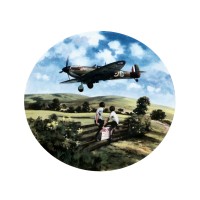 Royal Doulton Spitfire Coming Home Heroes of the Sky Collectors Plate