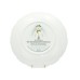 Royal Doulton Dance of the Snowman The Snowman Gift Collection plate image