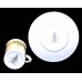 Royal Doulton Campagna English Translucent Fine China Cup & Saucer TC1078 image
