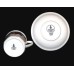 Royal Doulton Autumn Glory Cup & Saucer LS1086 New Royal Doulton, Royal Doulton, Royal Doulton Autumn Glory LS1086 image