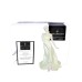 Royal Doulton Harmony Pretty Ladies Natural Beauty Collection HN4610 image