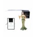 Royal Doulton Abigail Pretty Ladies Figurine HN4858 Royal Doulton Contemporary Pretty Ladies, Pretty Ladies, Figurines & Collectables, Royal Doulton, Pre Owned image