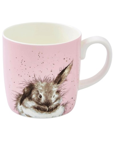 Royal Worcester Wrendale Design Bathtime Mug image