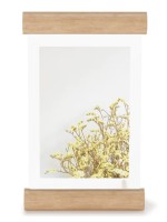 Umbra Scroll Photo Display Wood Frame 5 x 7 inch Natural Umbra Scroll Photo Display Wood Frame 5 x 7 inch Natural