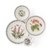 Portmeirion Botanic Garden 16 pce Dinner Set Portmeirion, Portmeirion , Brand New image